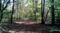 Chemin