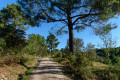 Chemin