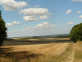 Chemin Chemin
