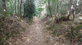 Chemin