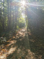 Chemin