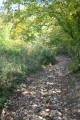 Chemin