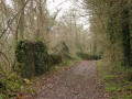 Chemin