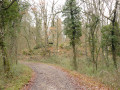 Chemin