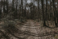 Chemin