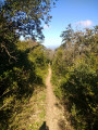 Chemin