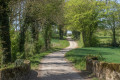 Chemin