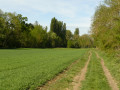 Chemin