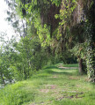 Chemin