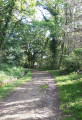Chemin