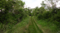Chemin