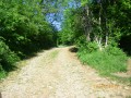 chemin