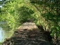 Chemin