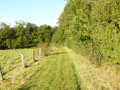 Chemin