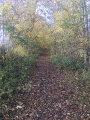 Chemin