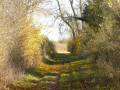 Chemin