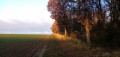 Louette et Chalouette entre Étampes et Saint-Hilaire