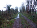 Chemin