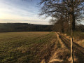 Chemin
