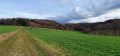 chemin