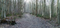 Chemin
