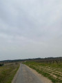 Chemin