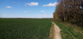 Chemin