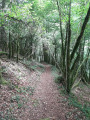 Chemin