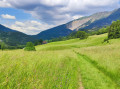 Chemin