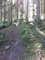 Chemin