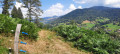 CHEMIN
