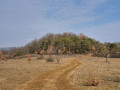 Les Prairies Sèches du Bollenberg Les Prairies Sèches du Bollenberg