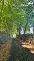 chemin