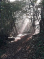 Chemin