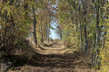 Chemin
