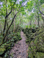 Chemin