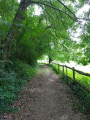 Le chemin des mûres de Beaumont-la-Ronce