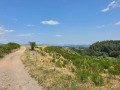 Chemin