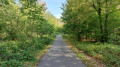 Path