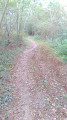 Chemin
