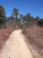 chemin