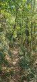 Chemin