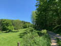Chemin ... Chemin ...