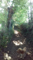 Chemins creux Chemins creux