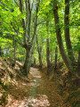 Autour du Boulevard Nature : la balade de Saint-Christophe