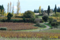 chemins d'automne chemins d'automne