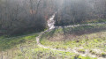 Chemins dans la forêt