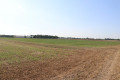 Chemins dans la plaine
