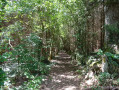 chemins encaissés