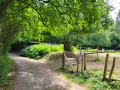 Chemins forestier